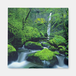 Aimant États-Unis, Oregon, Columbia River Gorge National