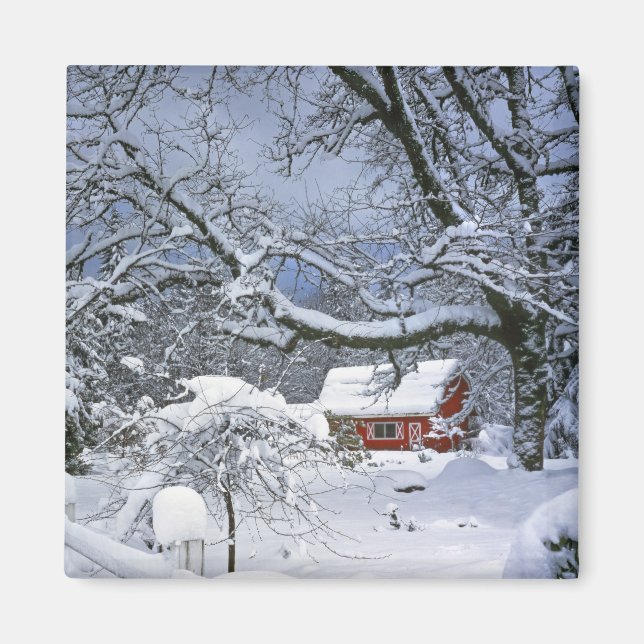 Aimant États-Unis, Oregon, comté de Clackamas. Neige fraî (Devant)