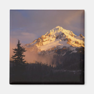 Aimant États-Unis, Oregon, Mt. Hood National Forest. Rou