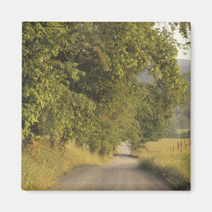 Aimant États-Unis, Tennessee, Great Smoky Mountains Natio