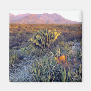 Aimant États-Unis, Texas, Big Bend NP. Un crépuscule rose