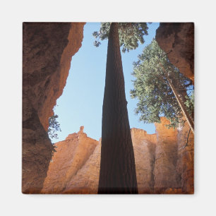 Aimant États-Unis, Utah, Parc national de Bryce Canyon. H