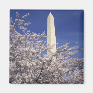 Aimant États-Unis, Washington DC. Festival des fleurs de 