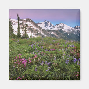 Aimant États-Unis, Washington, montagnes Cascade, Nord