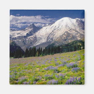 Aimant États-Unis, Washington, Parc national du Mont Rain