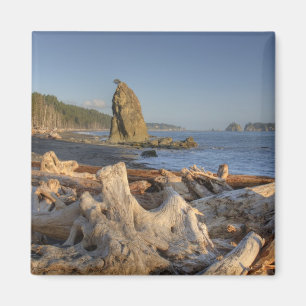 Aimant États-Unis, Washington, Parc national Olympique, R