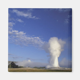 Aimant États-Unis, Wyoming. Parc national de Yellowstone.