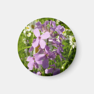 Aimant Été Lilac et marguerites