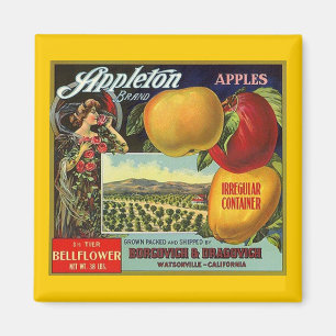 AIMANT ÉTIQUETTE VINTAGE DE FRUIT DE POMMES DE MARQUE
