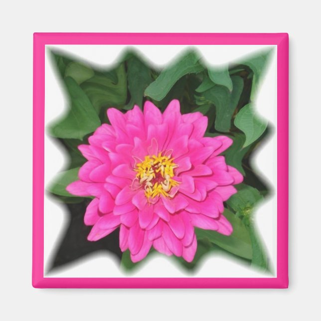 Aimant étoile de zinnia1 (Devant)
