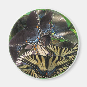 Aimant ets_yin_zazzle