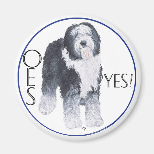 Aimant Étude de tête de vieux chien de berger anglais