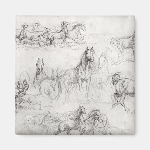 Aimant Étude des chevaux