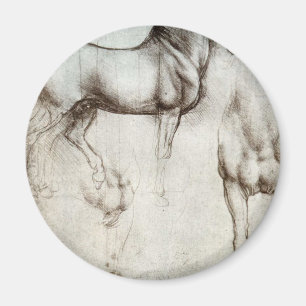 Aimant Étude des chevaux - Léonard de Vinci