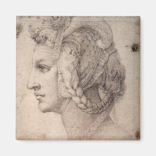 Aimant Étude du chef