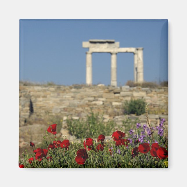 Aimant Europe, Grèce, Cyclades, Delos. Ruines de colonne. (Devant)