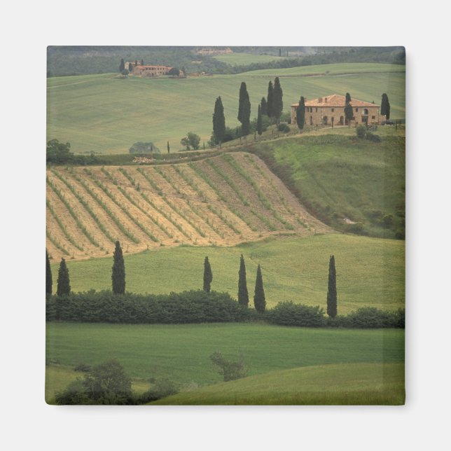 Aimant Europe, Italie, Toscane, Val d'Orcia, Toscane (Devant)