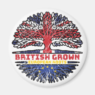 Aimant European Union EU Europe Uk United Kingdom British