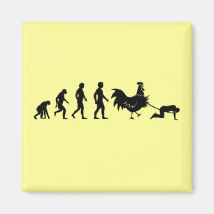 Aimant Évolution de poulet
