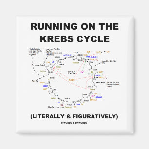 Aimant Exécution Sur Le Cycle Krebs (Humour Scientifique)