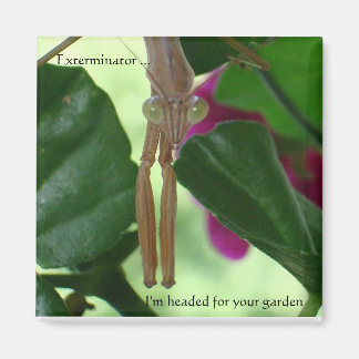 Aimant exterminateur