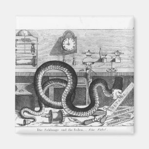 Aimant Fable du serpent et des fichiers