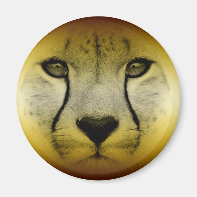AIMANT FACE CHEETAH (Devant)
