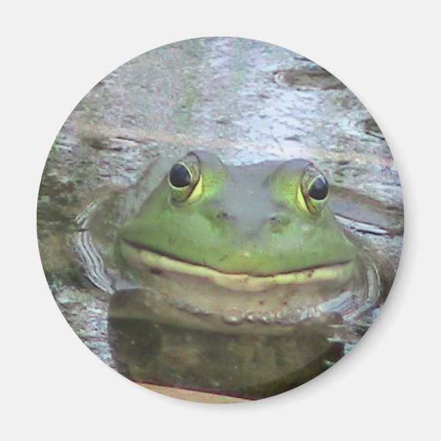 Aimant Face de grenouille souriante (Devant)