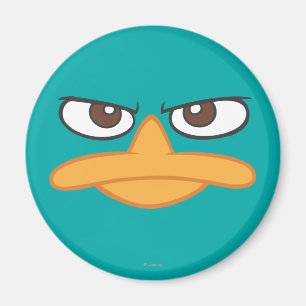 Aimant Face de l'agent P