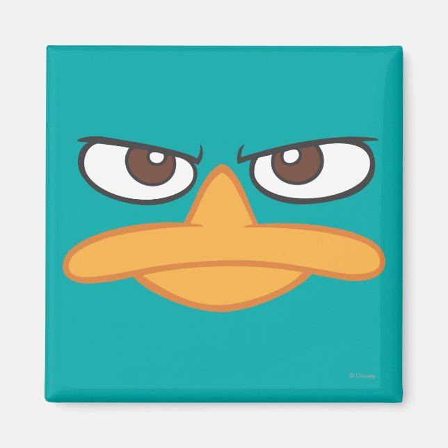 Aimant Face de l'agent P (Devant)