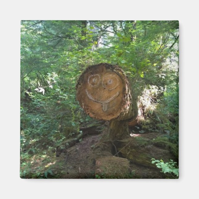 Aimant Face sur un arbre (Devant)