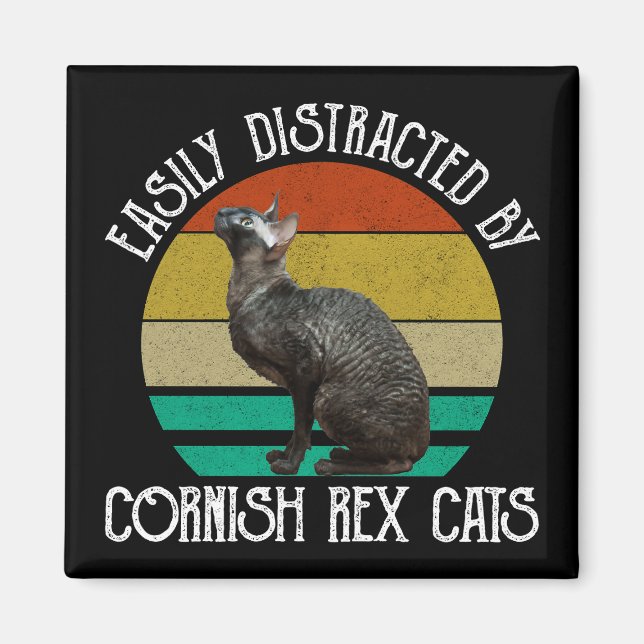 Aimant Facilement Distrait Par Les Chats Cornish Rex (Devant)