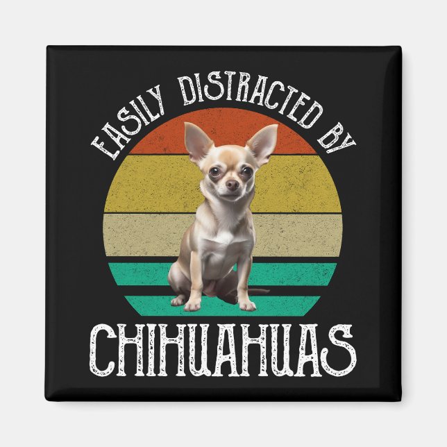 Aimant Facilement Distrait Par Les Chihuahuas (Devant)