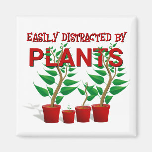 AIMANT FACILEMENT DISTRAIT PAR LES PLANTES