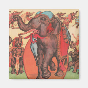 Aimant Faire Des Éléphants Avec Des Femmes Et Des Formate