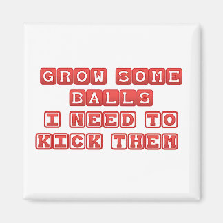 Aimant Faire pousser des boules