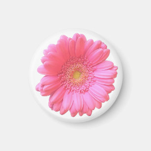 Aimant Faisée de gerbera rose