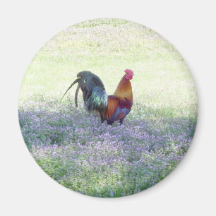 Aimant fait varier le pas de fierté