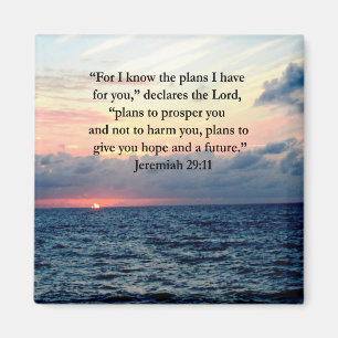 AIMANT FAITH IN JEREMIAH 29:11