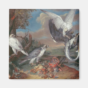 Aimant Falcons Cyr du Groenland