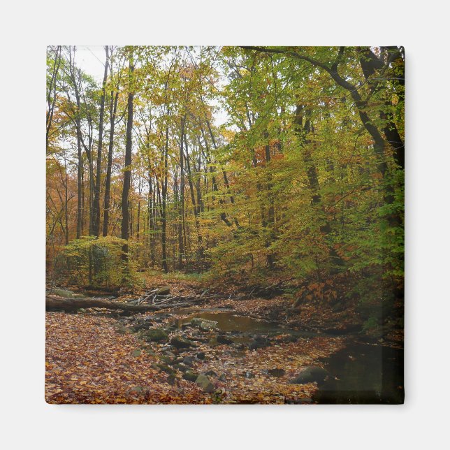 Aimant Fall Creek dans le parc national Laurel Hill State (Devant)