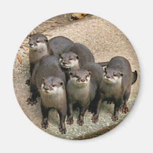 Aimant Famille adorable de Otter