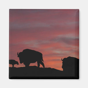 Aimant Famille Bison