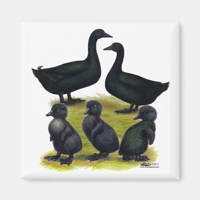 Aimant Famille de canards Cayuga (Devant)