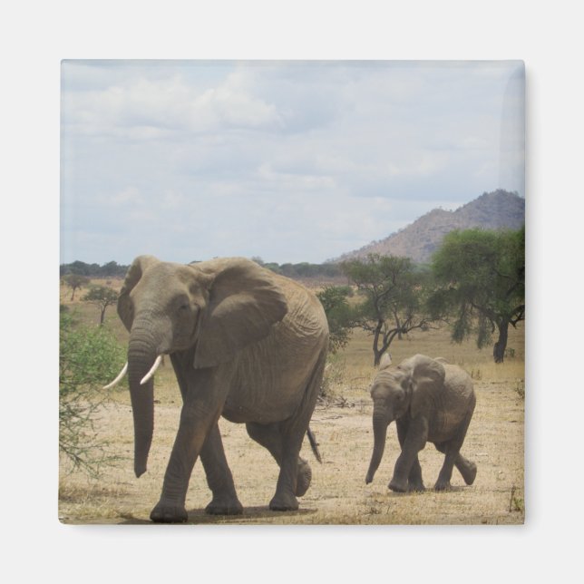 Aimant famille des éléphants (Devant)