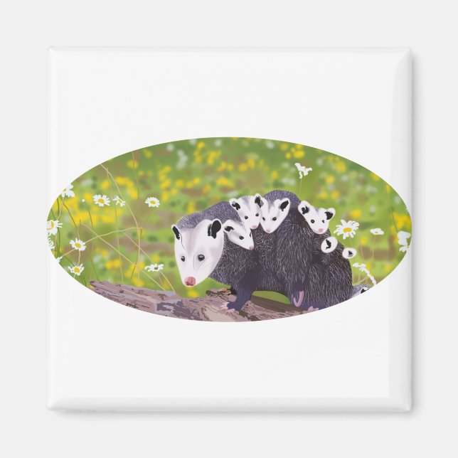 Aimant Famille Possum (Devant)