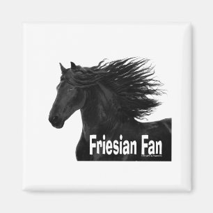 Aimant Fan frisonne