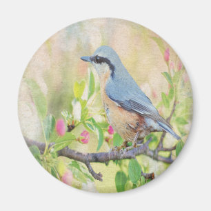 Aimant Fanatique d'oiseaux