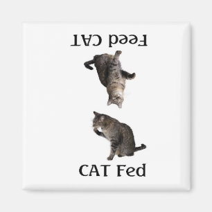 Aimant FeedTheCat