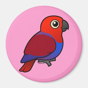 Aimant Femelle de perroquet d'Eclectus